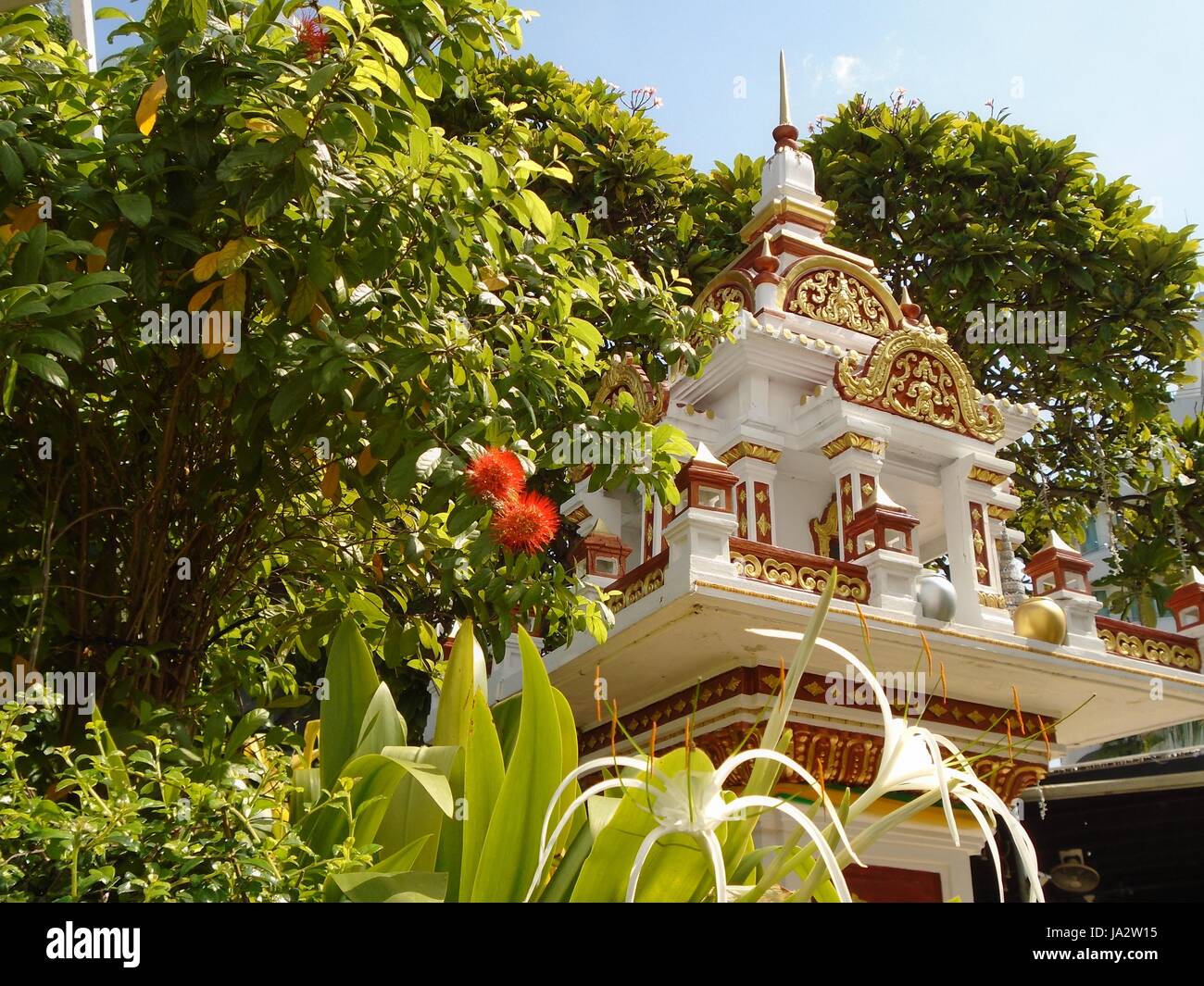 Journée ensoleillée tropicales d'arbres à fleurs de cour avant culte Bouddha Beach Road Pattaya Chonburi Thailande Banque D'Images