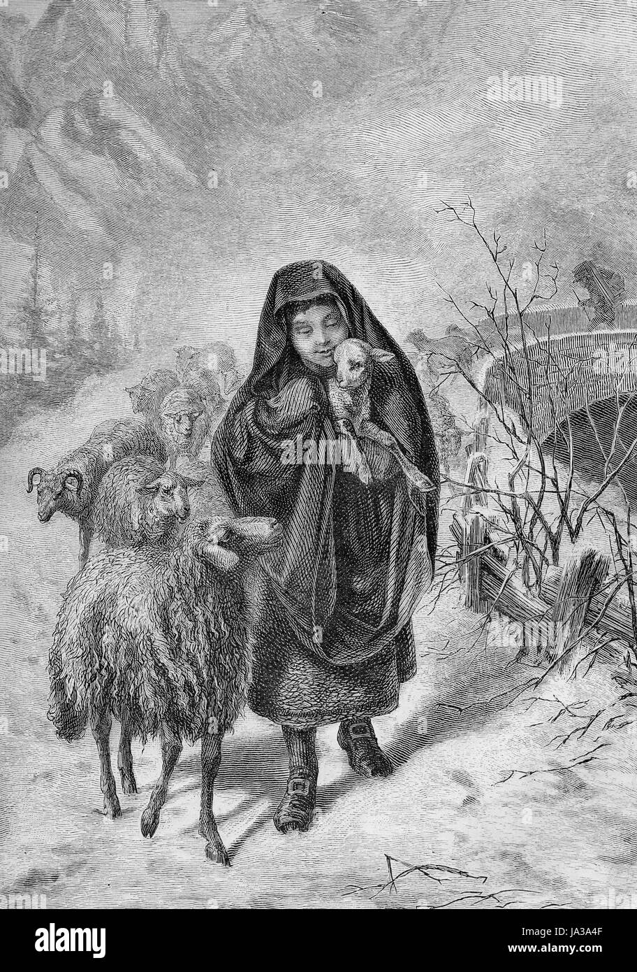 'Faire revenir le troupeau avant l'hiver', gravure du xixe siècle Banque D'Images