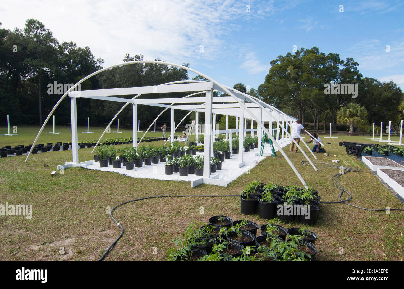 Central Florida home bio construction jardin bâtiment hommes dans la cour pour une saine alimentation et à la coopérative agricole de l'alimentation Banque D'Images