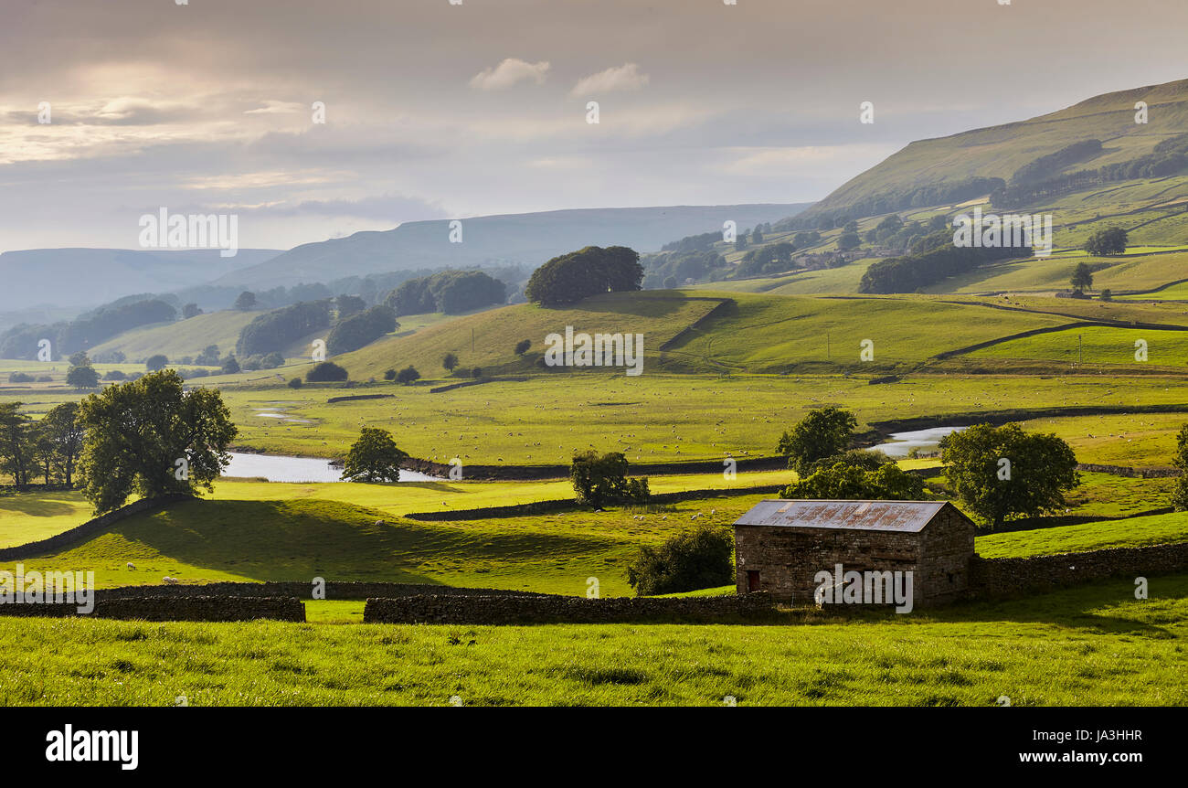 Rivière Ure, Yorkshire Dales vue paysage. Banque D'Images
