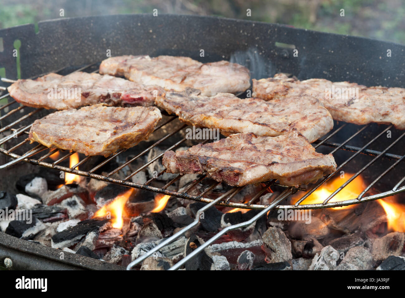 Grille, barbecue, barbecue, grillades, BBQ, bar-b-q, pique-nique, porc, viande, fumée, Banque D'Images
