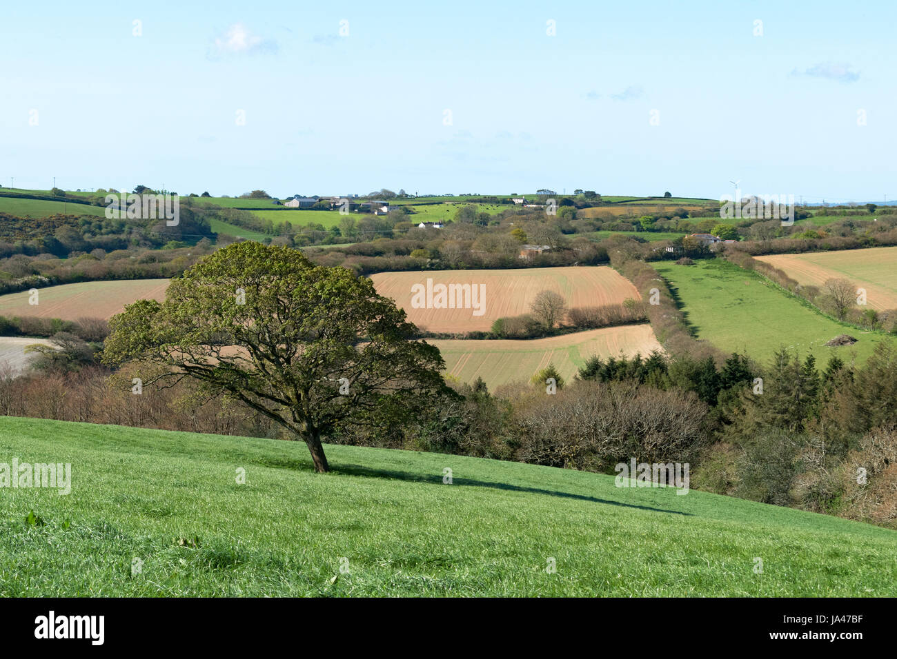 Les terres agricoles et la campagne près de Truro à Cornwall, Angleterre, Royaume-Uni. Banque D'Images Les terres agricoles et la campagne près de Truro à Cornwall, Angleterre, Royaume-Uni. Banque D'Images