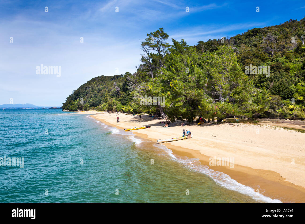 Plage de sable blanc et eau turquoise dans Abel Tasman National Park, South Island, New Zealand Banque D'Images