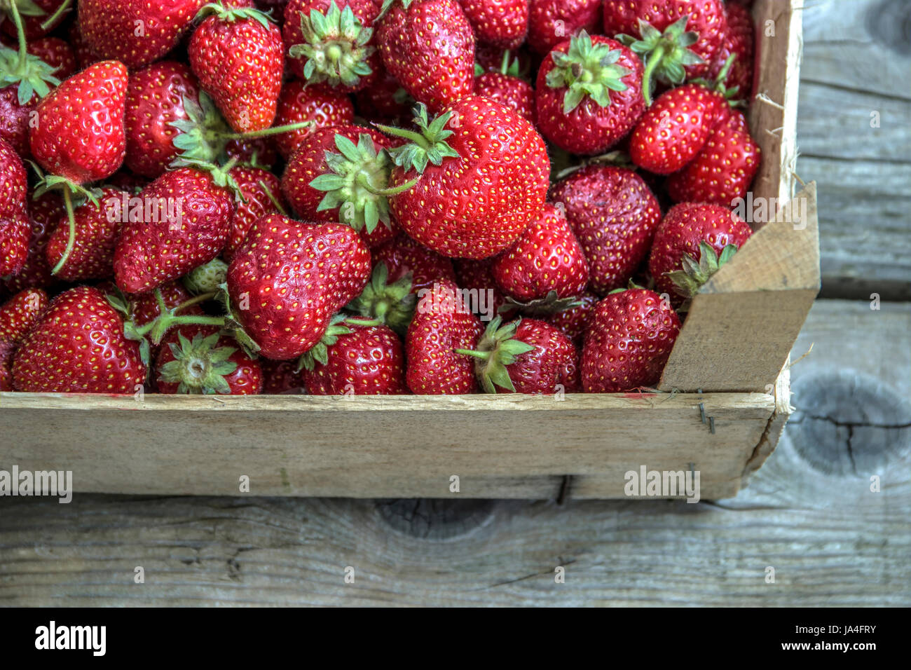 Les fraises dans une boîte en bois Banque D'Images