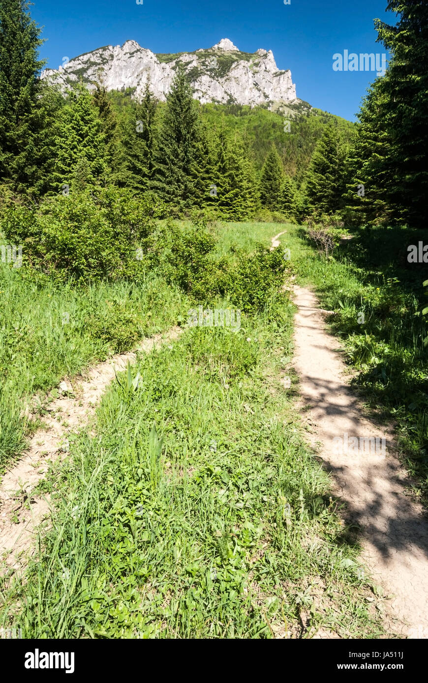 Sentier de randonnée de montagne pré avec aboce stefanova settlement et rocky velky rozsutec hill au printemps au-dessus de montagnes mala fatra en Slovaquie Banque D'Images