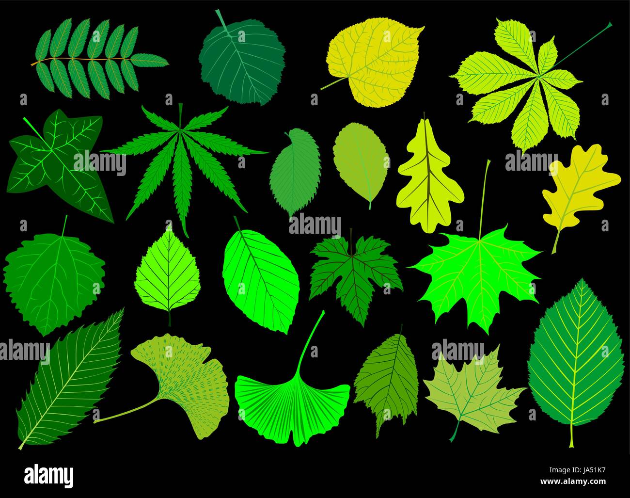 Les feuilles des arbres green set silhouettes,feuille, Illustration de Vecteur