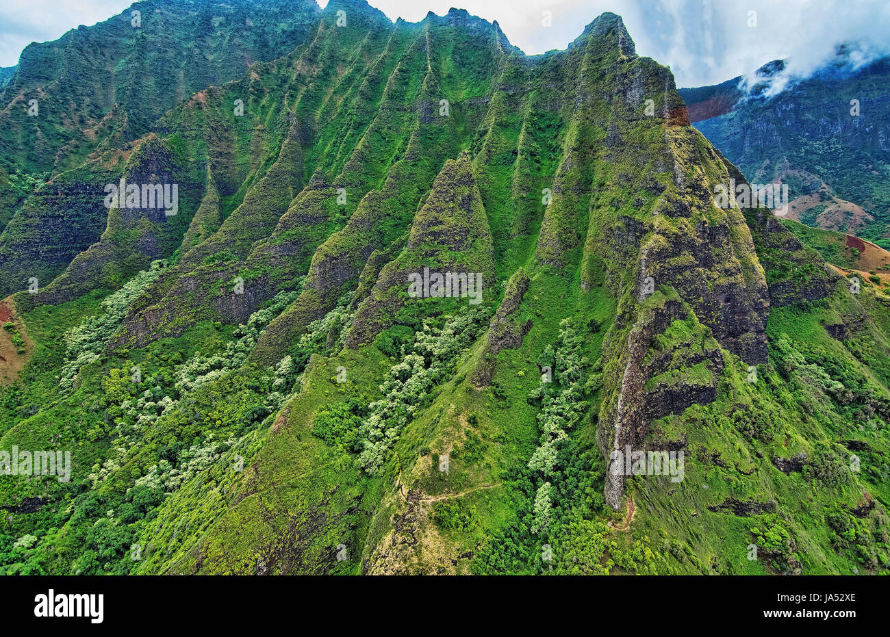 In de l'antenne de l'hélicoptère les falaises des canyons de la côte de Na Pali Na Réserve forestière de Pali-Kona Banque D'Images
