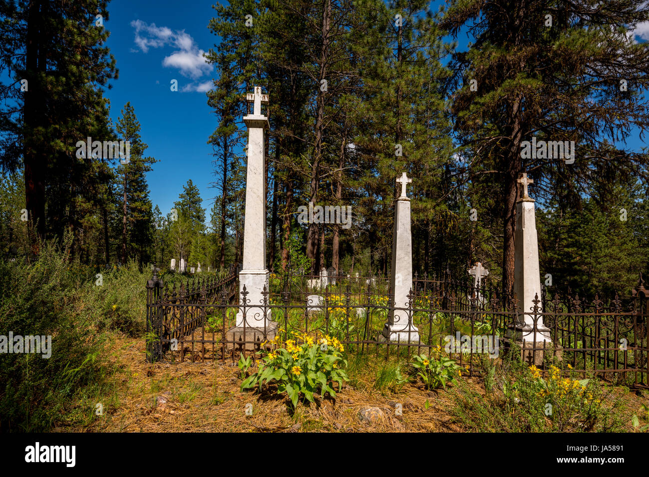 Des pierres tombales classique au milieu d'une forêt Banque D'Images