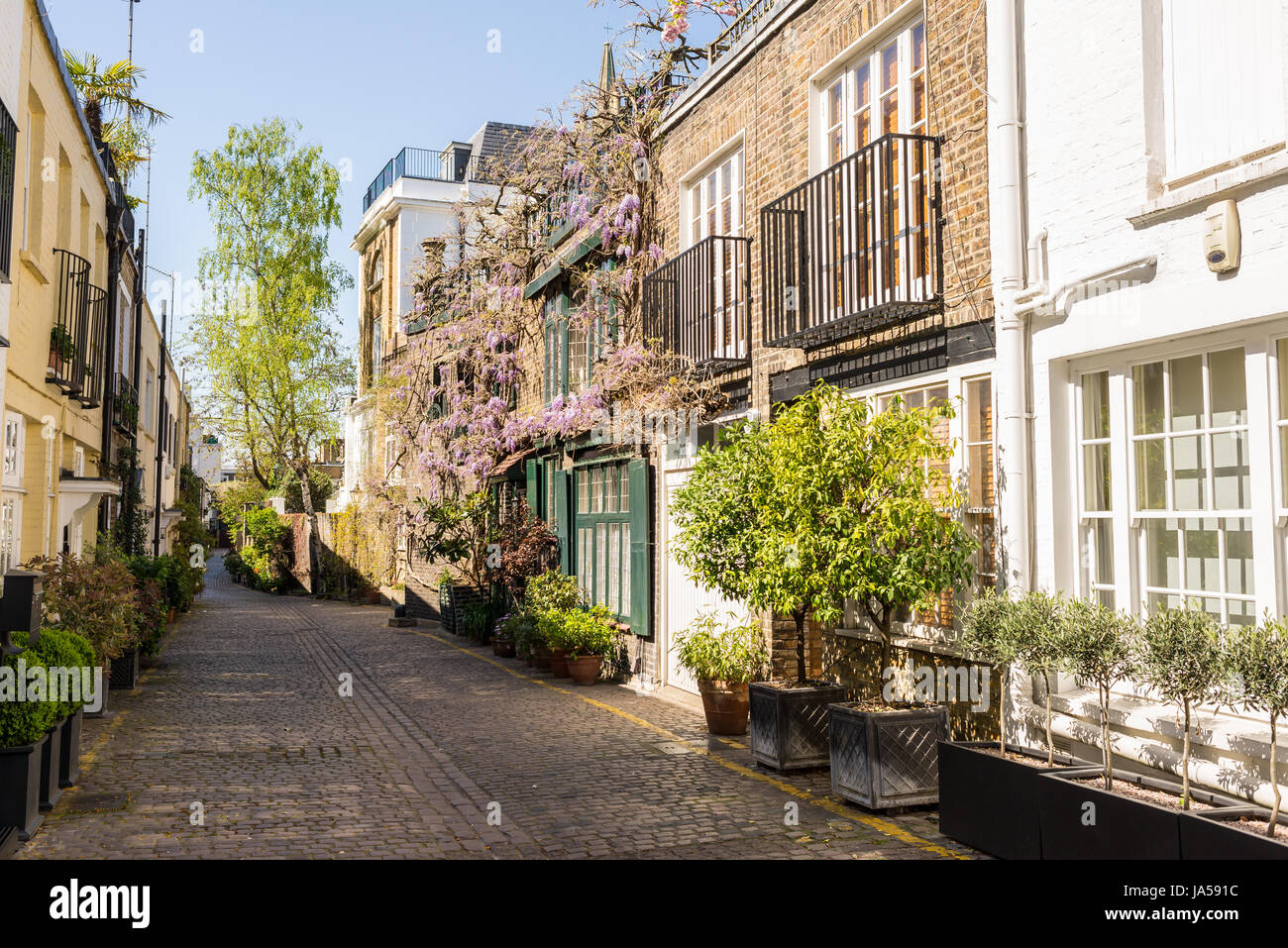 Maisons élégantes dans une petite rue pavées avec mews à South Kensington, London, UK Banque D'Images