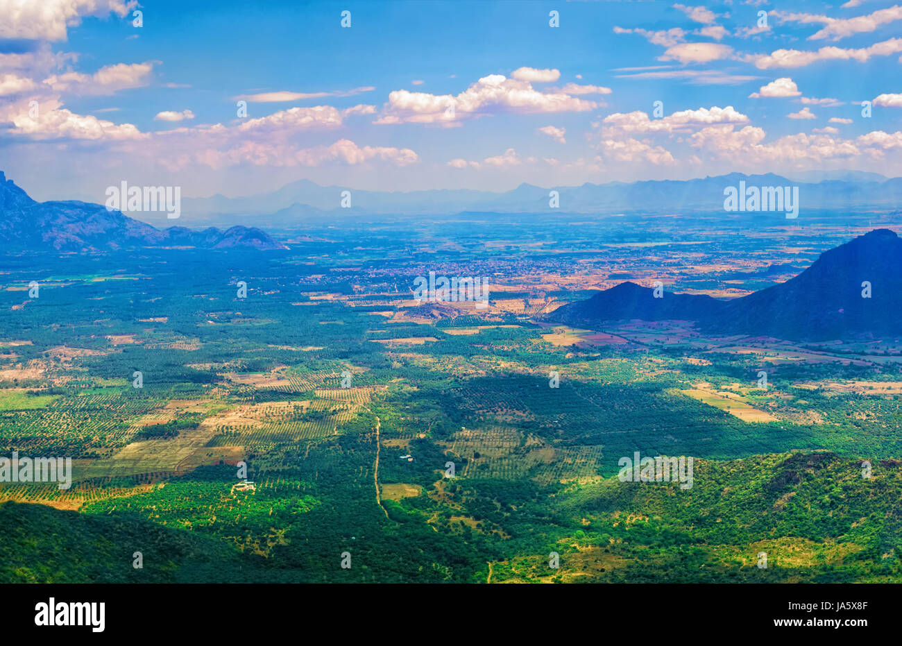 Beau paysage avec des plantations de thé vert, Munnar, Kerala, Inde billet d'arrière-plan Banque D'Images