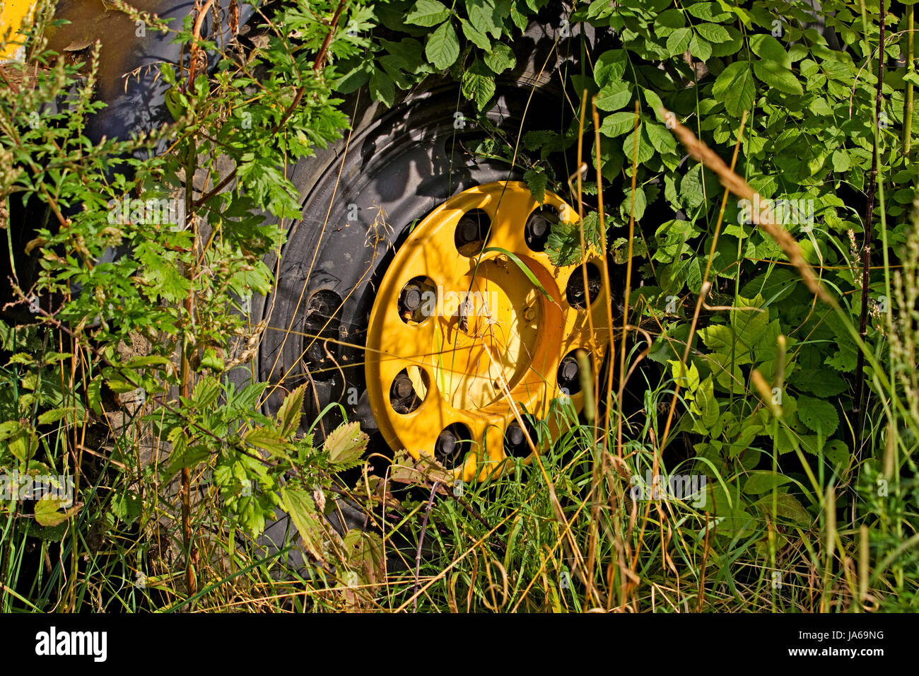 Old-timer, rouillé, rouillé, weatherworn, renfermé, camion, camion, jaune, plante, Banque D'Images