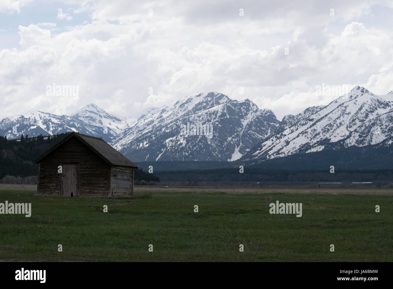 Parc National de Grand Teton, hangar et cabine. Banque D'Images