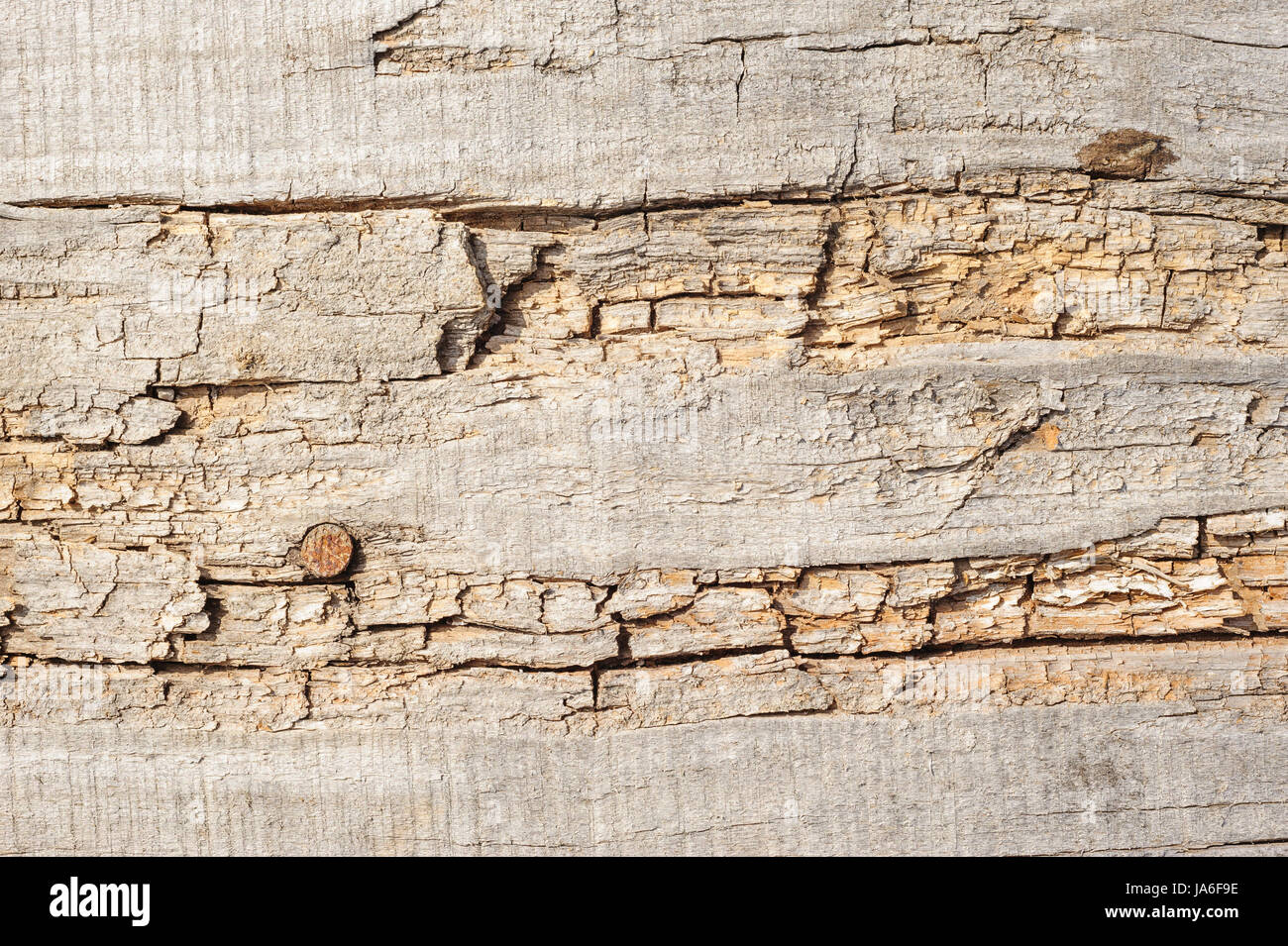 Plancher bois, texture avec motif naturel Banque D'Images