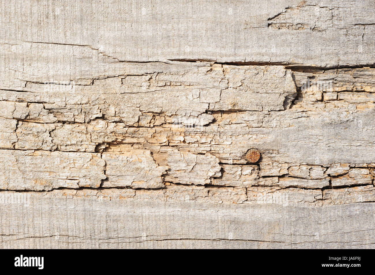 Plancher bois, texture avec motif naturel Banque D'Images