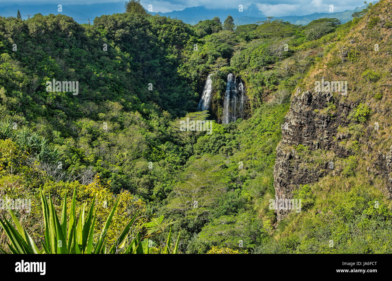 Kauai Hawaii avec les chutes de Opaekaa attraction touristique Green Hills Banque D'Images