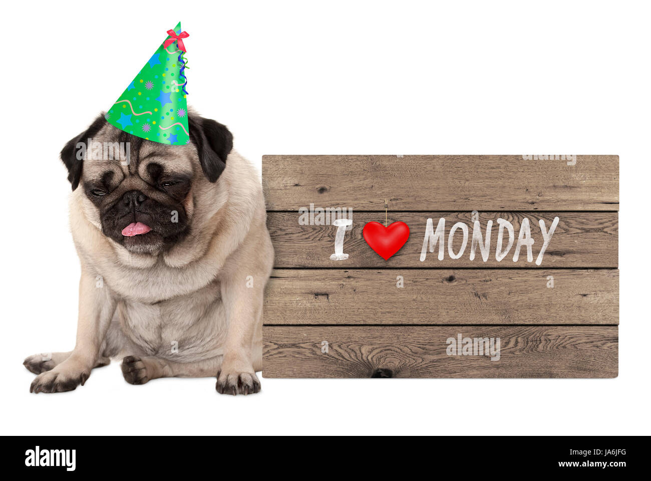 Ras le chiot pug dog wearing party hat, s'asseyant à côté de panneau en bois avec texte j'aime lundi, isolé sur fond blanc Banque D'Images