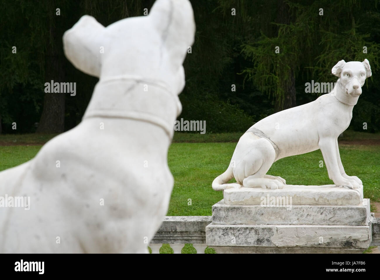 Pierre, statue, meubles anciens, sculpture, plâtre, chien, marbre, piscine,  du socle Photo Stock - Alamy