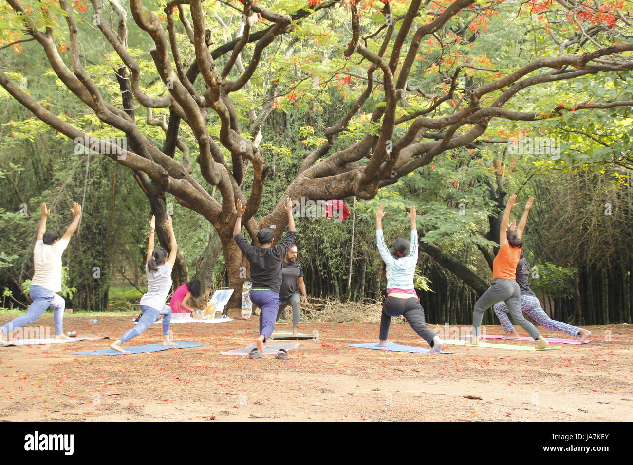 Un groupe de jeunes Indiens effectuant yoga Yoga à Cubbon park, Bangalore, Inde Banque D'Images