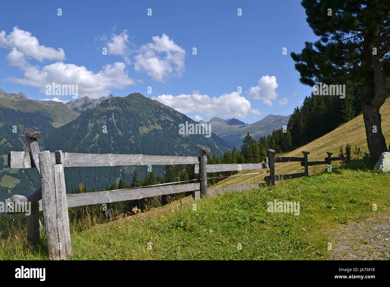 Regardé par dessus la clôture Banque D'Images