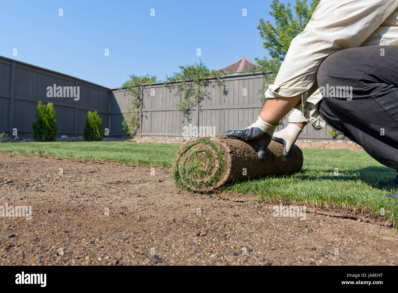 La main, mains, nouveau, gazon, prairie, herbe, pelouse, vert, service, main, mains, l'espace, Banque D'Images