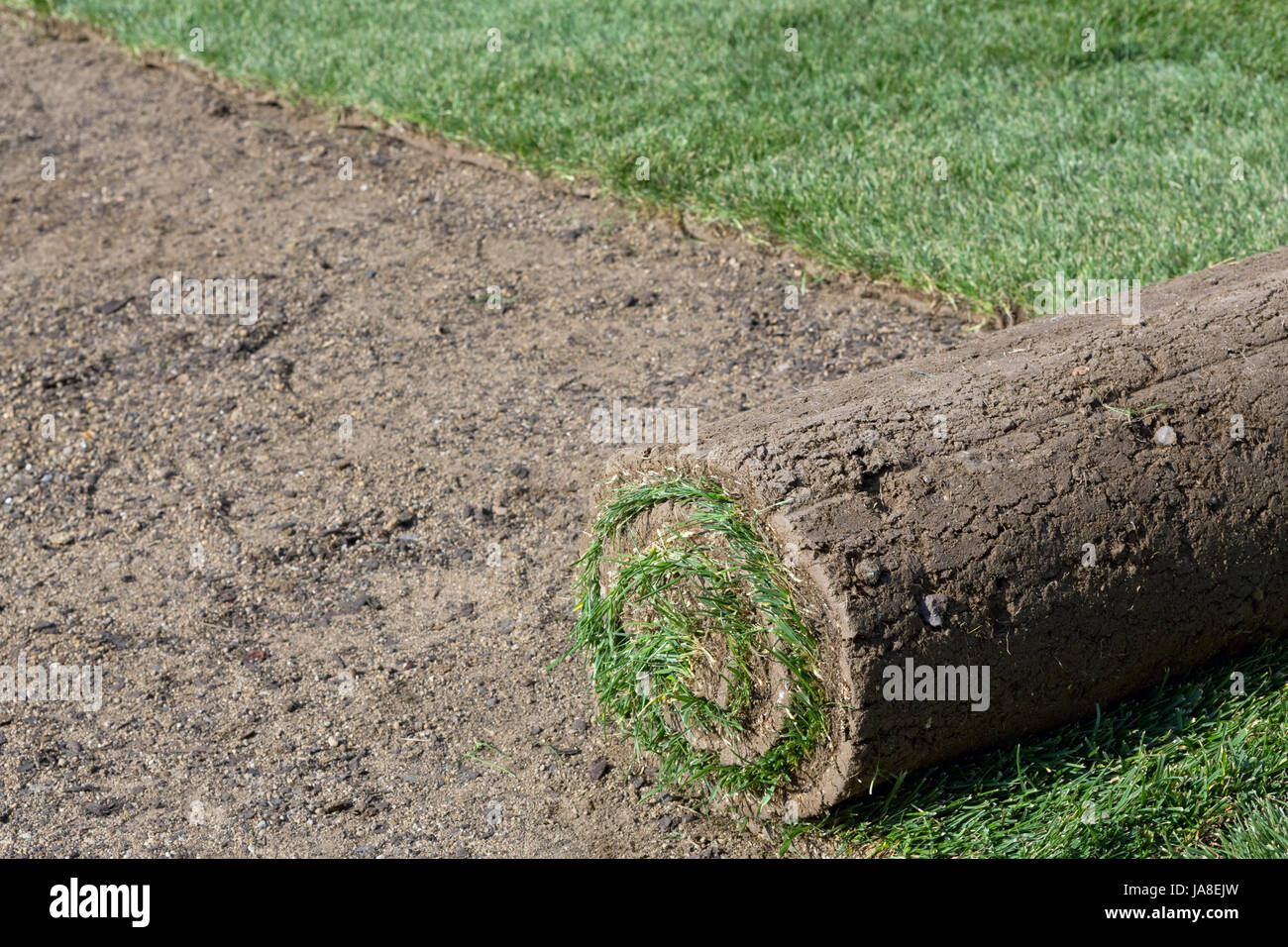 Nouveau, aplatis, gazon, prairie, herbe, pelouse, vert, frais, l'espace, sol, sol, Banque D'Images