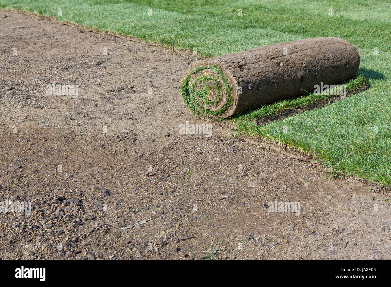 Nouveau, aplatis, gazon, prairie, herbe, pelouse, vert, frais, l'espace, sol, sol, Banque D'Images