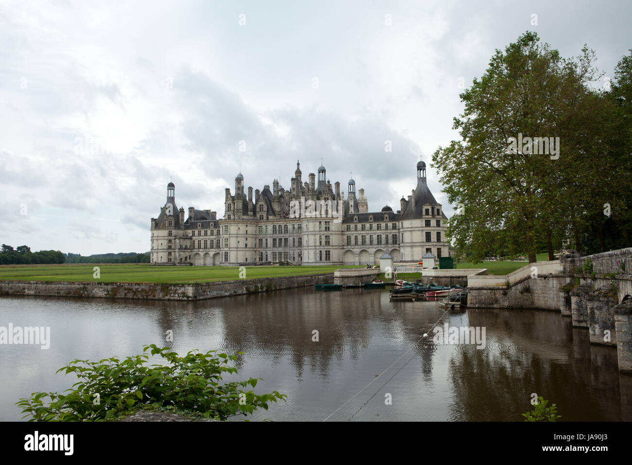 France, vallée, château, Château, tour, historique, grand, grand, énorme, Banque D'Images