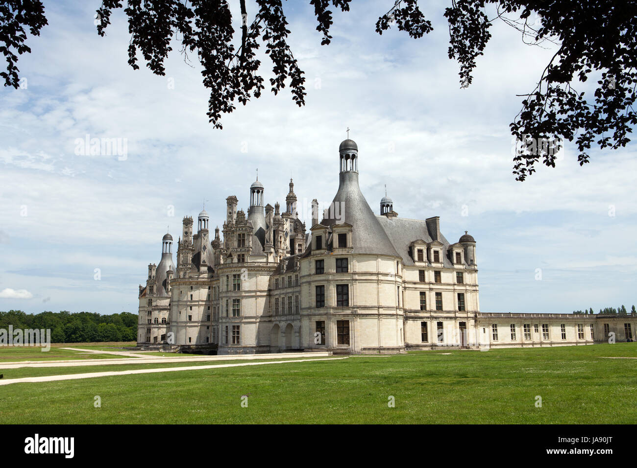 France, vallée, château, Château, tour, historique, grand, grand, énorme, Banque D'Images