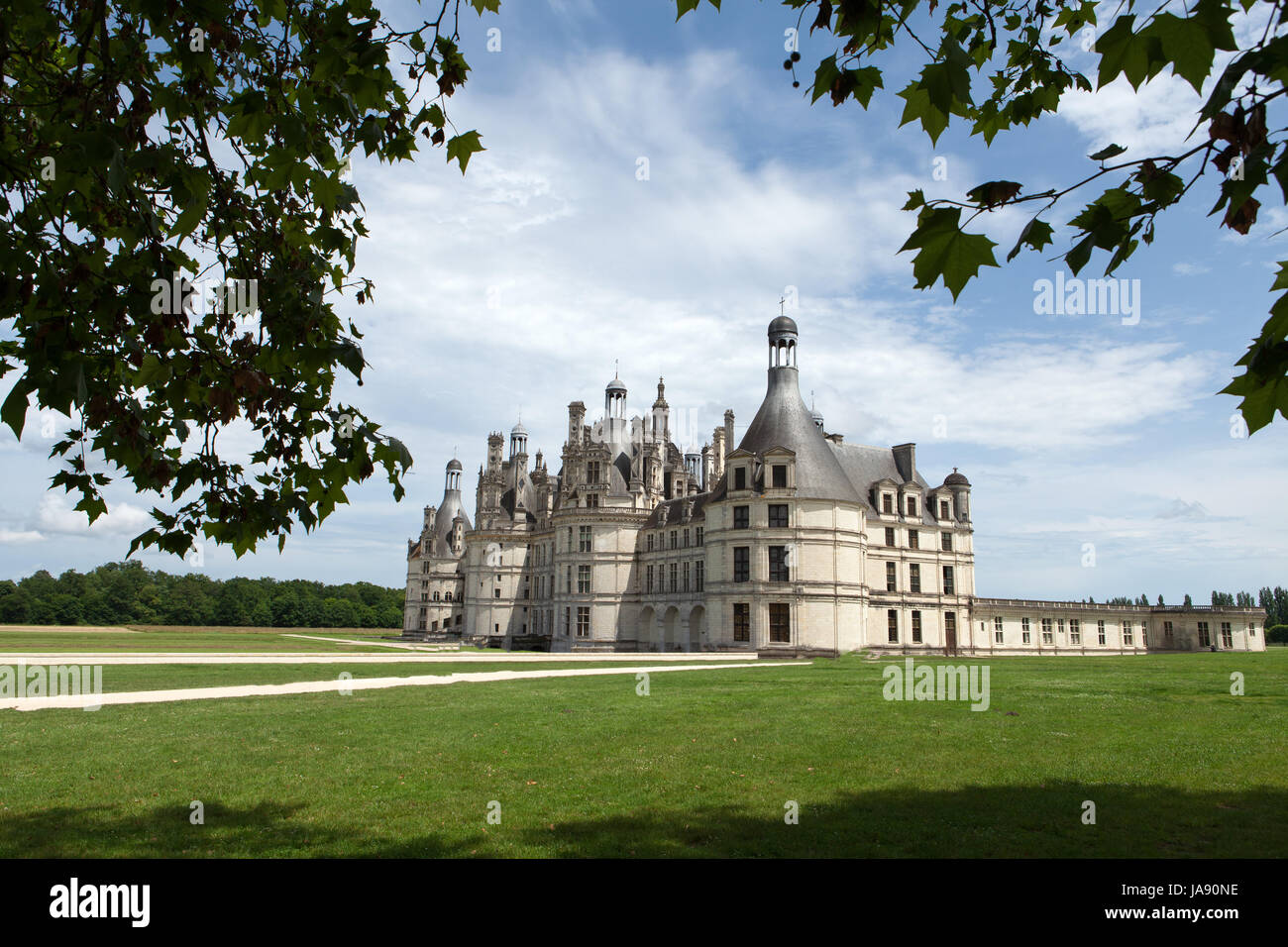 L'intérieur, France, vallée, château, Château, tour, historique, grand, grand, Banque D'Images