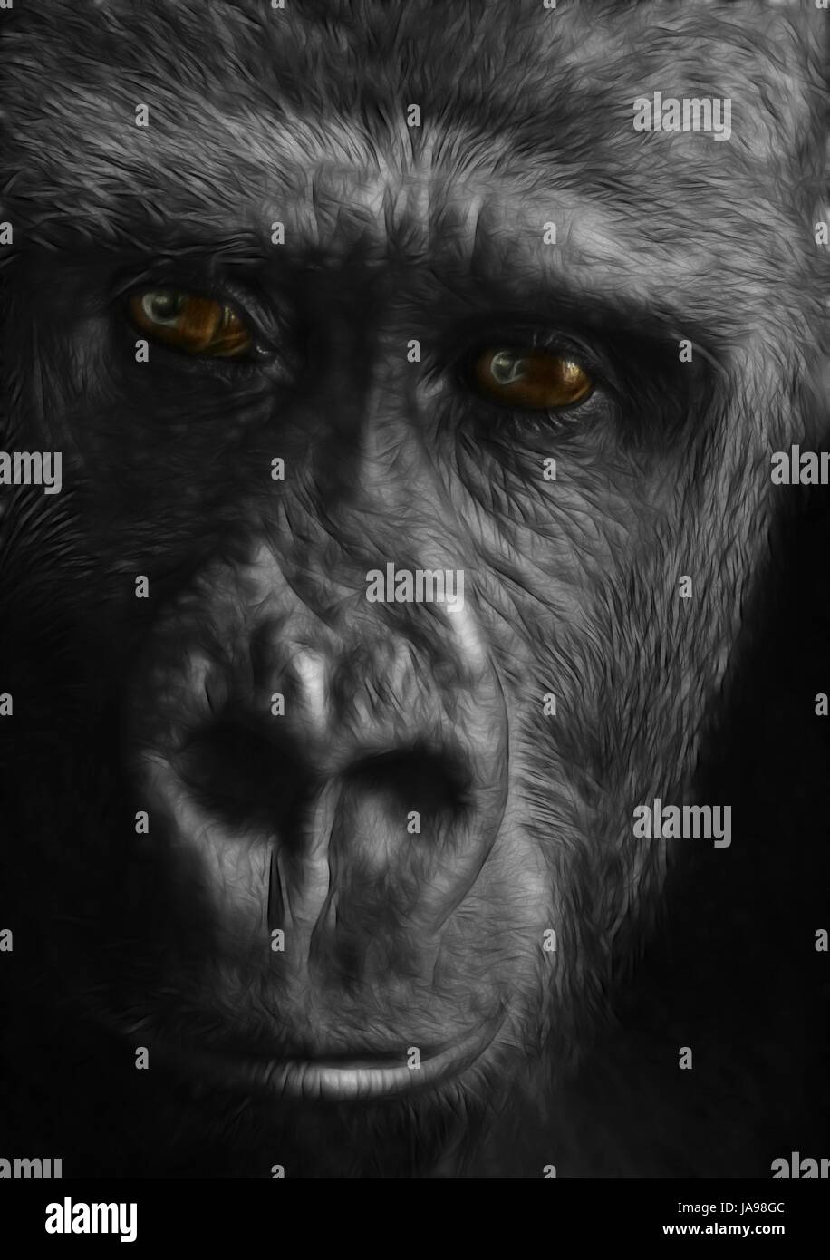 Portrait, animaux, singe, yeux, illustration, gorille, dessin, photo, photo, Banque D'Images
