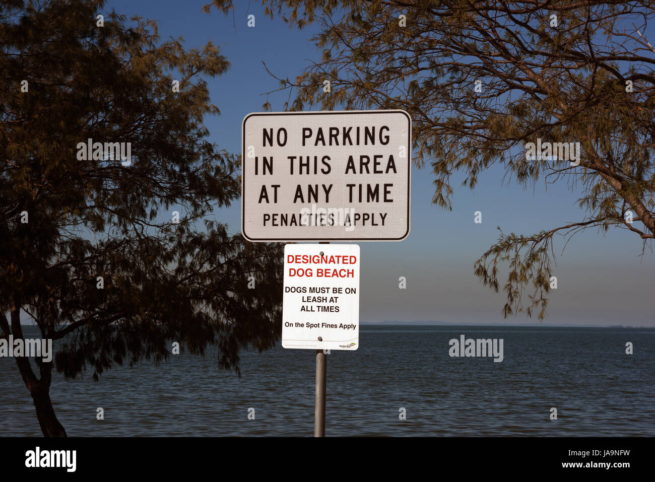 Redcliffe, Australie : No parking sign, dog beach sign du Clontarf, Queensland Banque D'Images