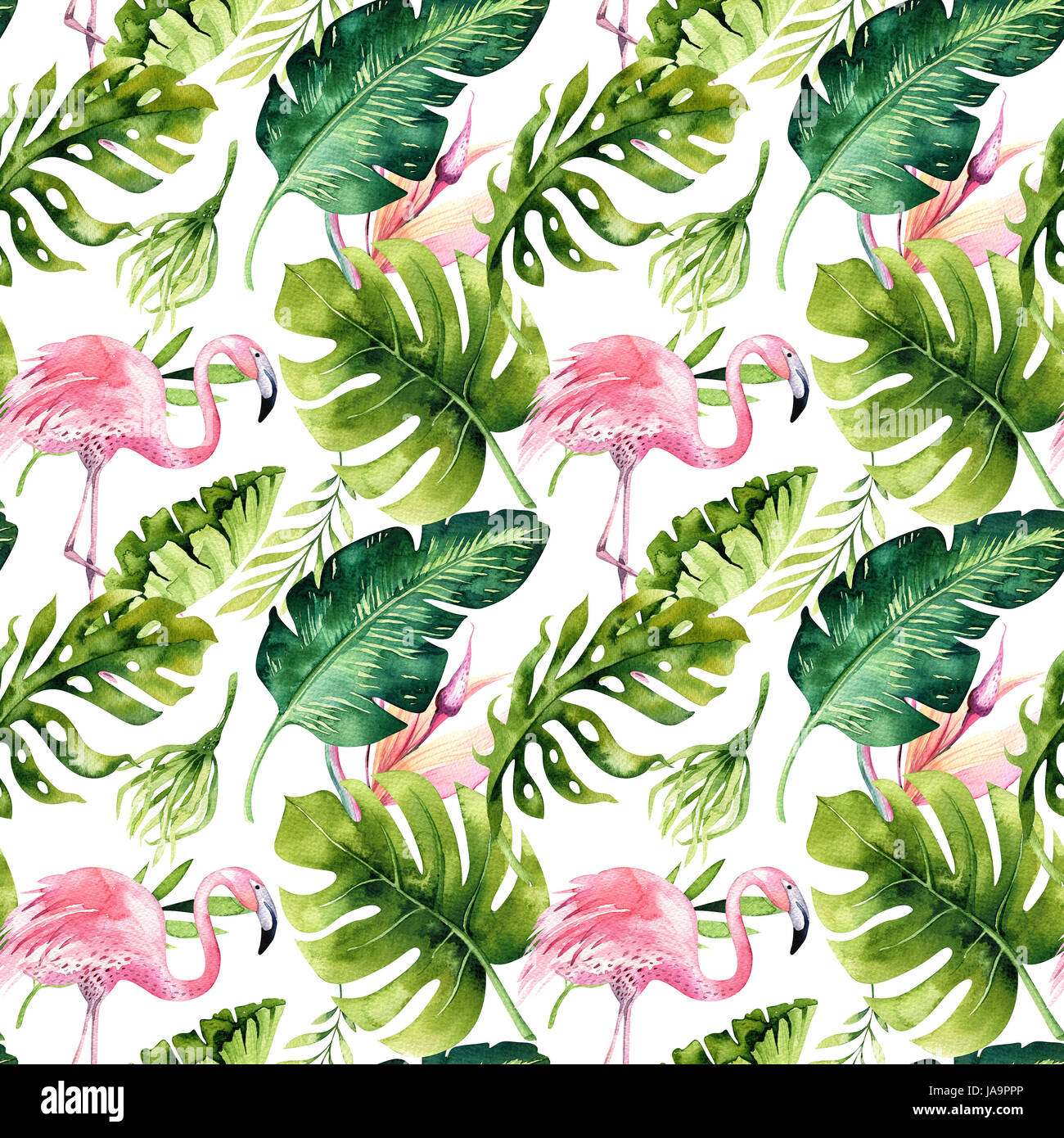 Isole Avec Motif Transparent Tropical Flamingo Tropic Aquarelle Dessin Oiseau Rose Et De Verdure Palmier Vert Tropique Fleur Exotique De Texture Al Photo Stock Alamy Isole Avec Motif Transparent Tropical Flamingo Tropic Aquarelle Dessin Oiseau Rose Et De Verdure Palmier Vert Tropique Fleur Exotique De Texture Al Photo Stock Alamy