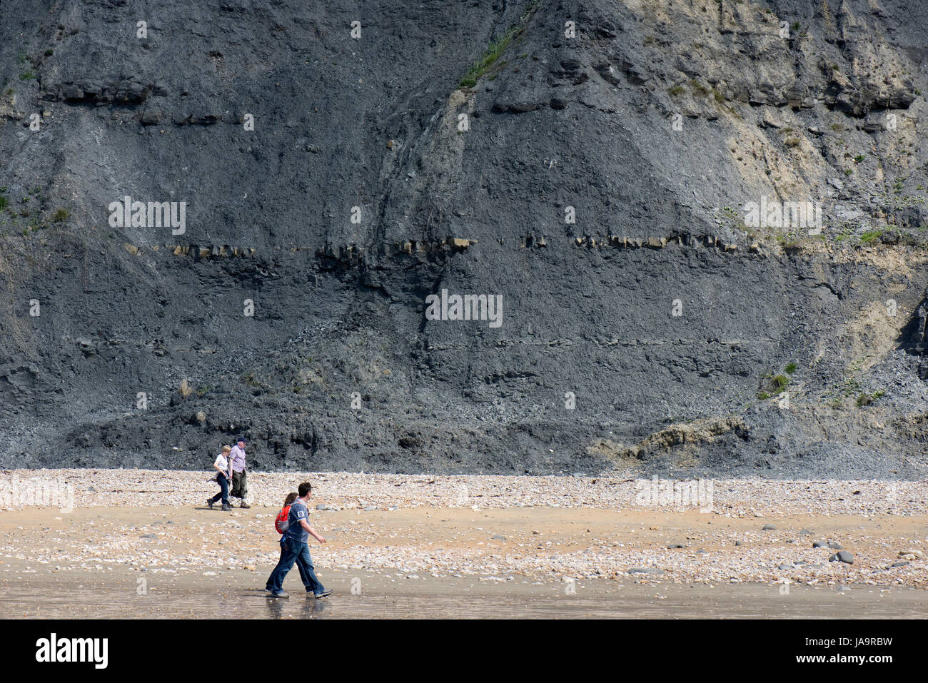 Marée basse sur le East Beach à Charmouth avec blue lias roches et couches de la Côte Jurassique, un site du patrimoine mondial, Dorset, Mai Banque D'Images