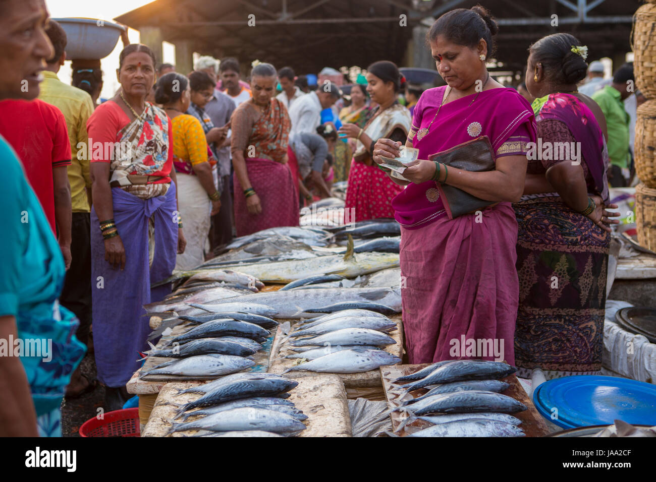 Une dame en comptant son argent après avoir vendu du poisson frais au marché Sassoon à Mumbai, Inde Banque D'Images