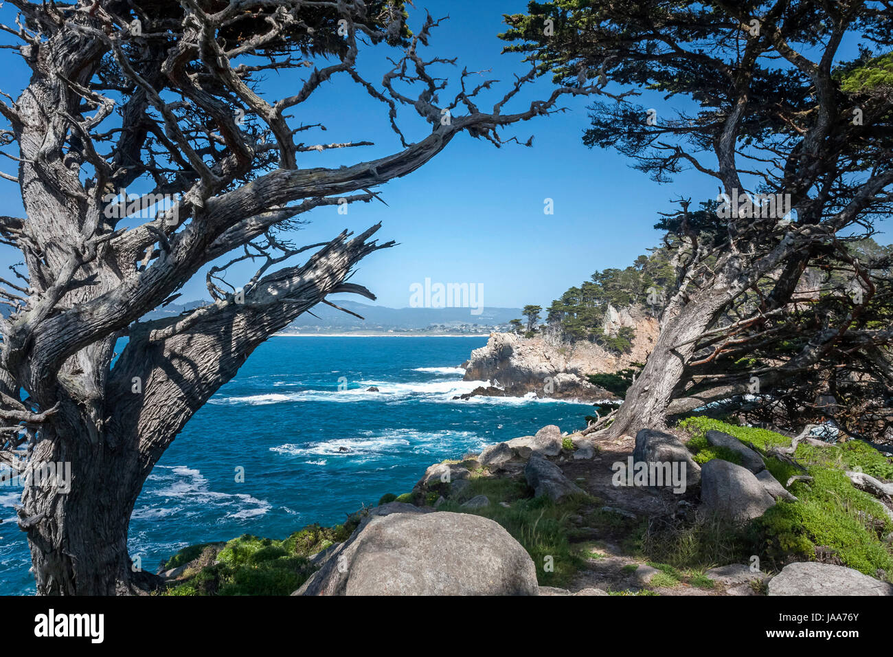 Prise à Point Lobos State Park en Californie. Point Lobos est situé à 5 kilomètres de Carmel-by-the-Sea, en Californie. Banque D'Images