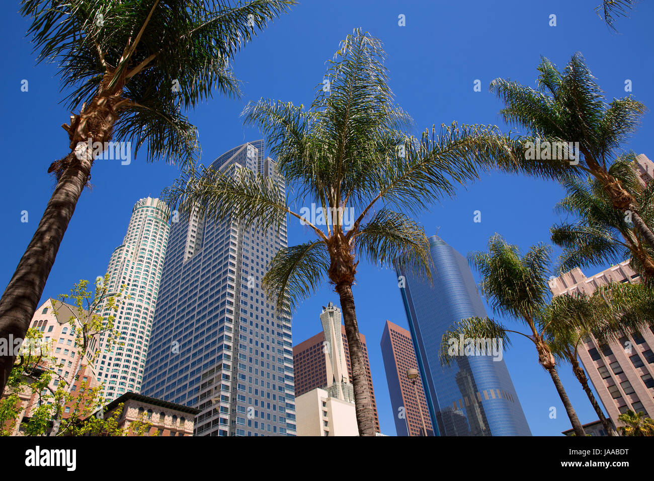 LA Ville de Los Angeles Pershing Square palmiers et gratte-ciel Banque D'Images