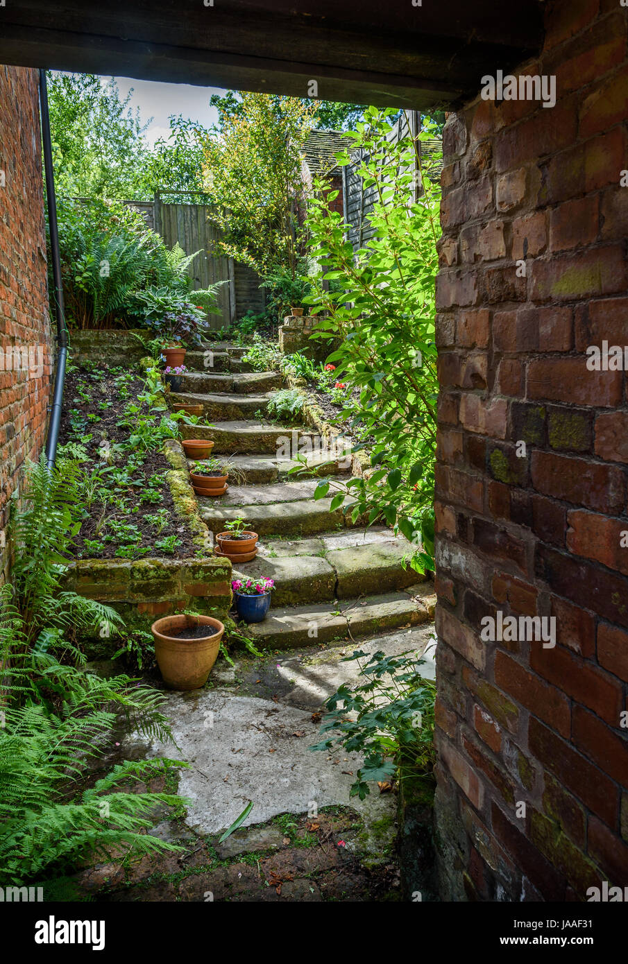 Une ancienne cour arrière jardin avec des marches en pierre. Banque D'Images