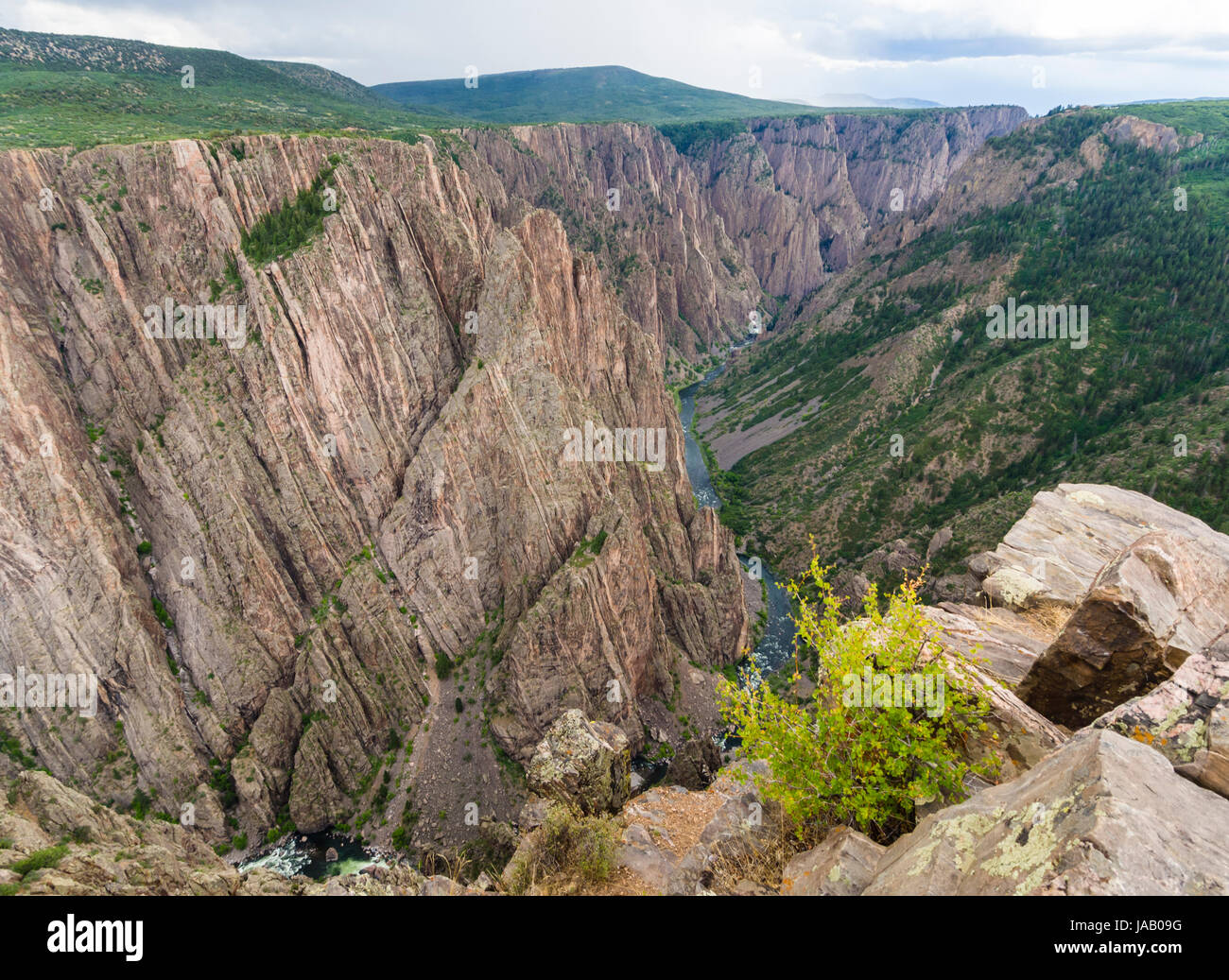 Bord de la 'Black Canyon of the Gunnison' National Park (Californie, USA) avec la Gunnison River vers le bas dans le canyon. Banque D'Images