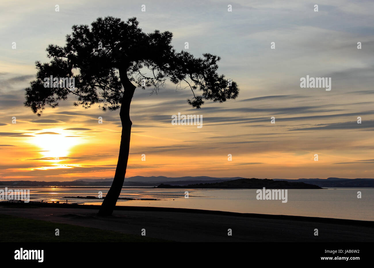 La silhouette des arbres, coucher de soleil, Cramond estran, Édimbourg, Écosse, Royaume-Uni Banque D'Images
