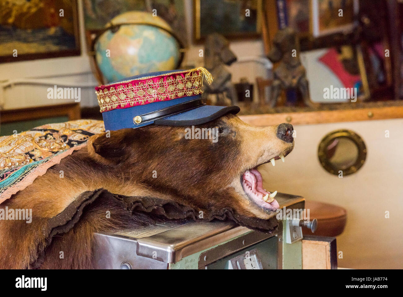 Tapis ours avec chapeau, meubles anciens et objets de magasin. Banque D'Images