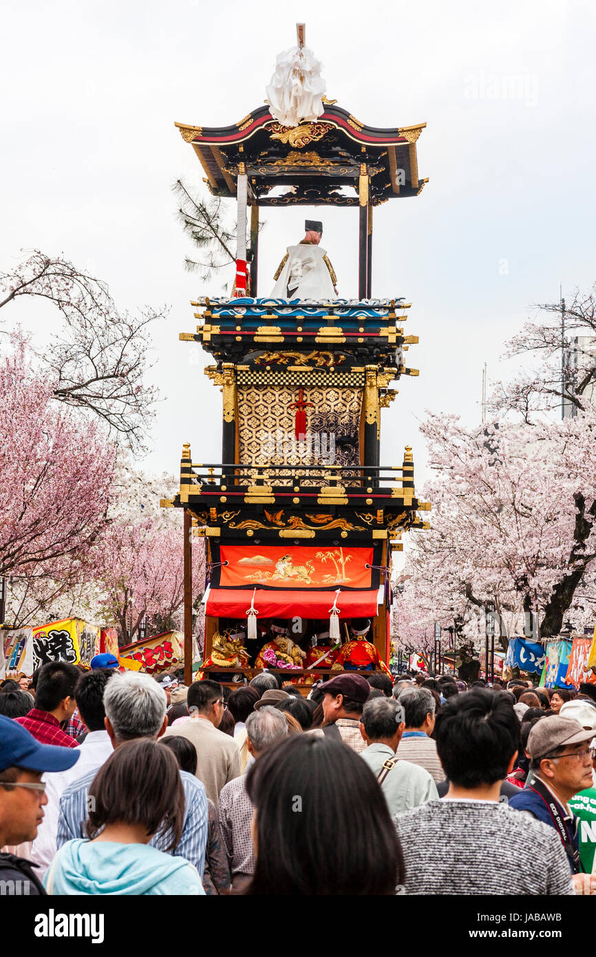 Inuyama festival au Japon. Dashi float, aka yama ou yatai, entouré par les spectateurs, pendant qu'elle était poussée par l'avenue des cerisiers. Banque D'Images