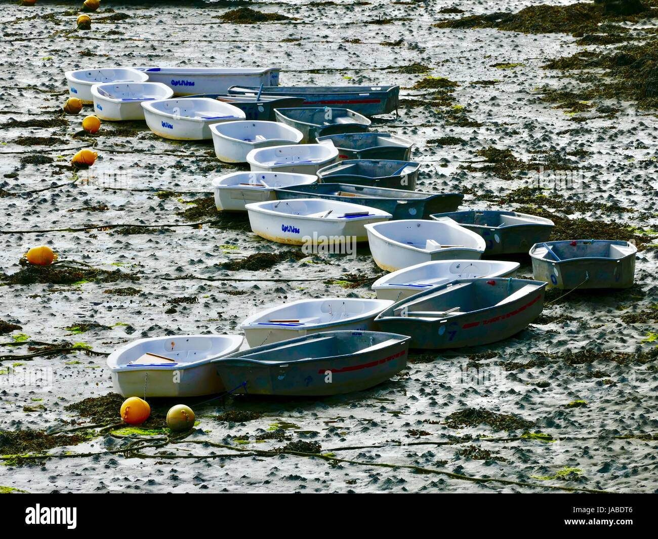 Dériveurs dans un motif sur fond de mer à marée basse. Roscoff, Bretagne, France Banque D'Images