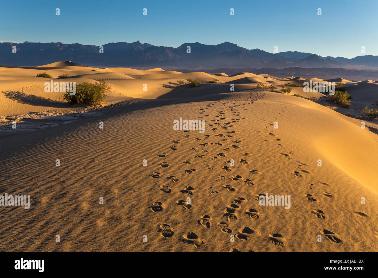 Des traces de pas dans le sable, sunrise, Mesquite Flat dunes de sable, Death Valley National Park, Death Valley, Californie Banque D'Images