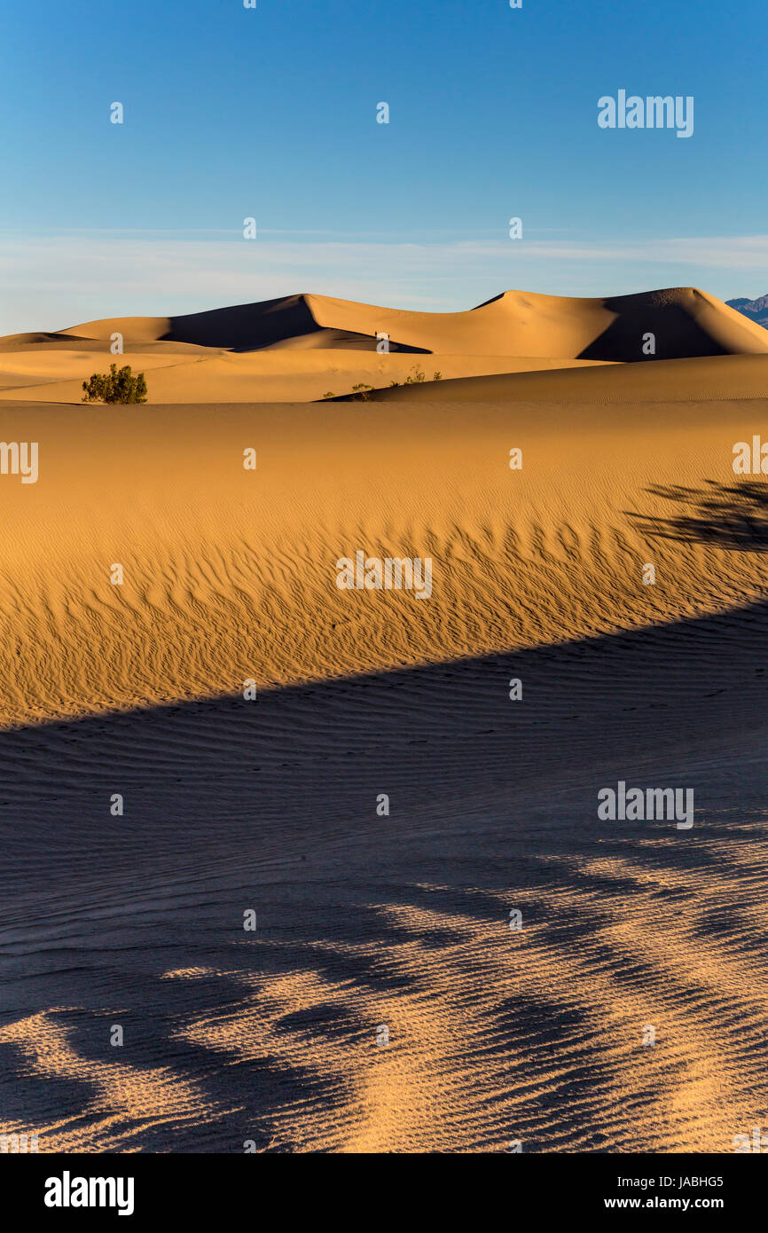 Le lever du soleil, les dunes de sable, les dunes de sable plat Mesquite, Death Valley National Park, Death Valley, Californie Banque D'Images