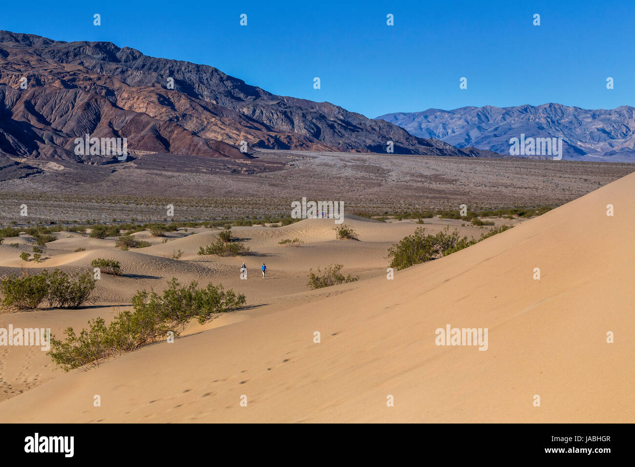 Les gens, touristes, randonneurs, randonnées, Mesquite Flat dunes de sable, Death Valley National Park, Death Valley, Californie Banque D'Images