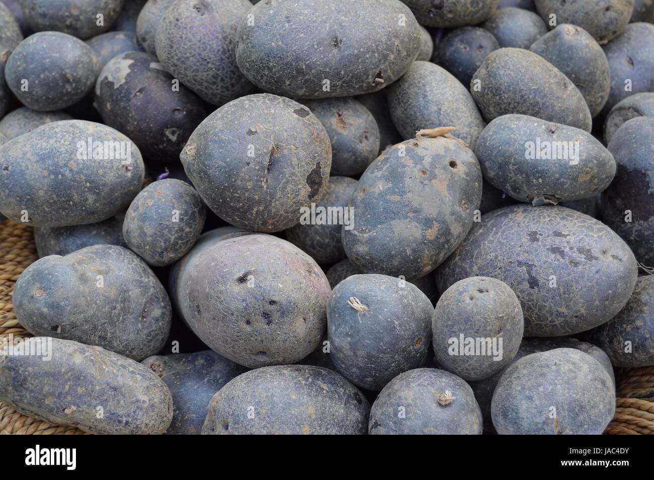 pommes de terre noires Photo Stock Alamy