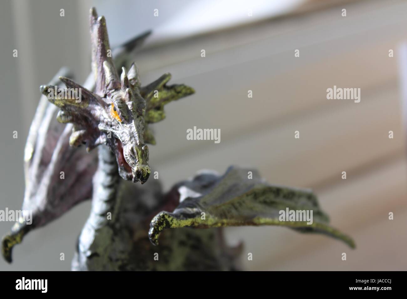 La vie simple d'un Dragon Banque D'Images