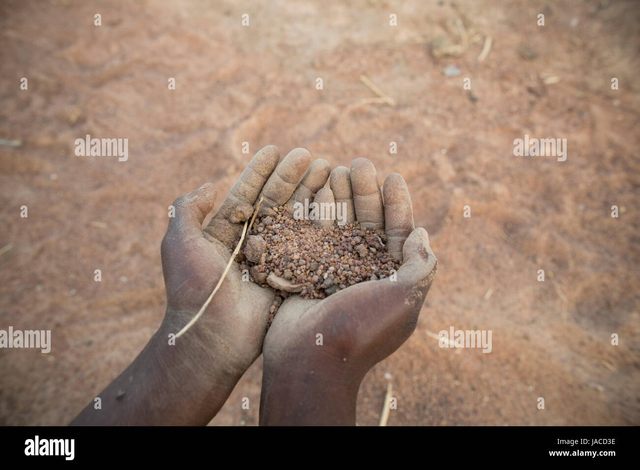 Maintenez les mains sèches, sol desséché dans le nord du pays frappé par la sécheresse, le Ghana, l'Afrique de l'Ouest. Banque D'Images