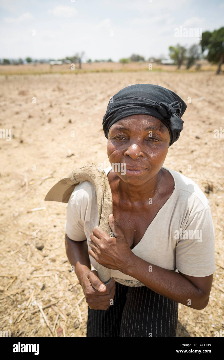 Un agriculteur se trouve dans son champ de maïs dans le nord de la toundra, le Ghana, l'Afrique de l'Ouest. Banque D'Images