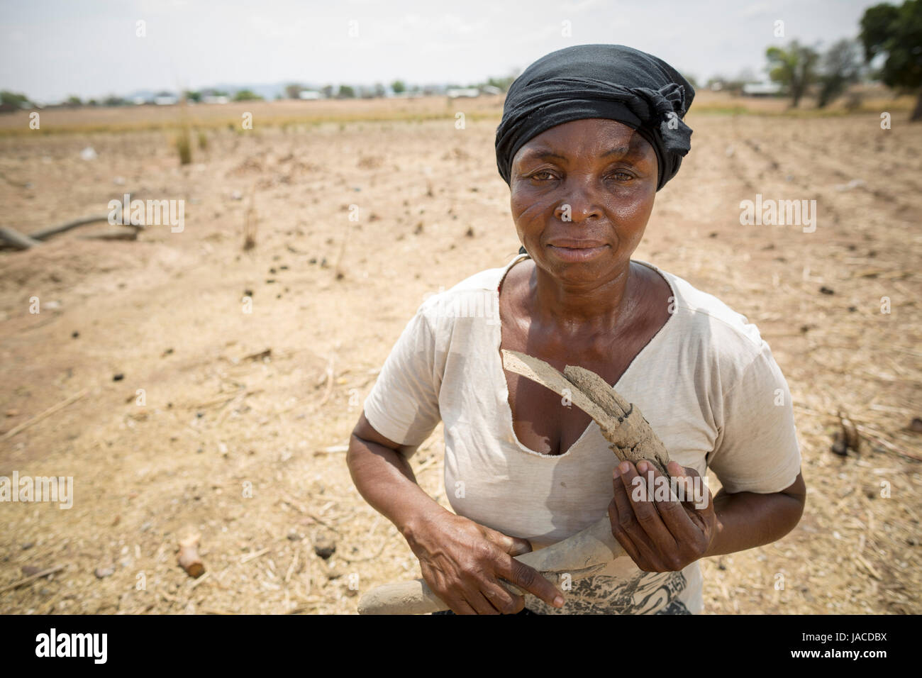 Un agriculteur se trouve dans son champ de maïs dans le nord de la toundra, le Ghana, l'Afrique de l'Ouest. Banque D'Images